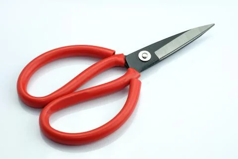 Tailor's scissors on a white background. Stock Photos