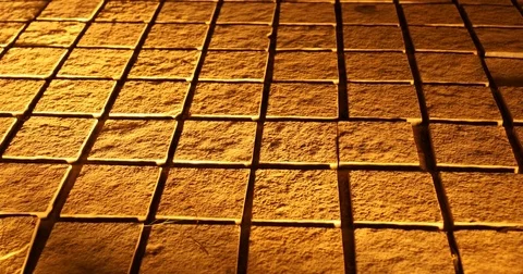 Tails on the Footpath Stock Footage