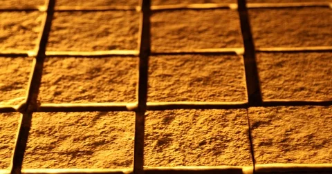 Tails on the Footpath Stock Footage