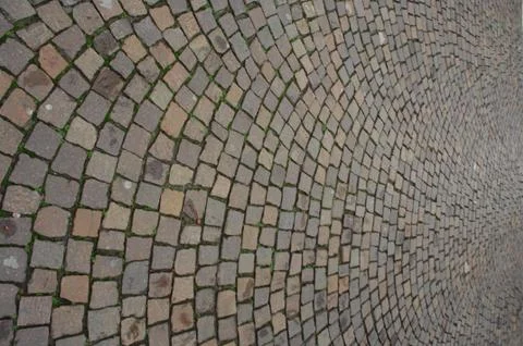 Tails on the Footpath Foto stock