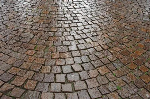 Tails on the Footpath Foto stock