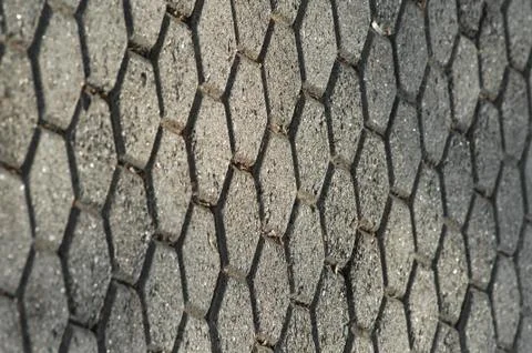 Tails on the Footpath Foto stock