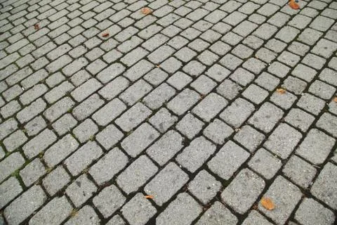 Tails on the Footpath Foto stock
