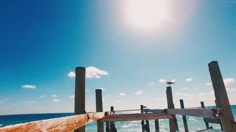 Taino Dock Spotlight  Stock Footage 98517562