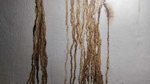 Tainted White Wall Texture 2 Stock Photos