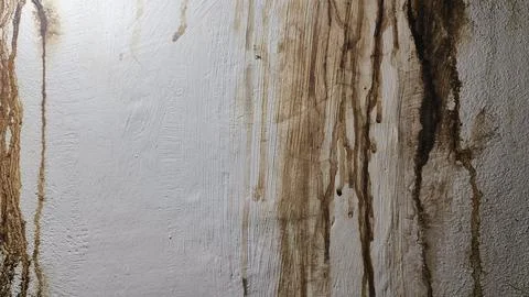 Tainted White Wall Texture Stock Photos