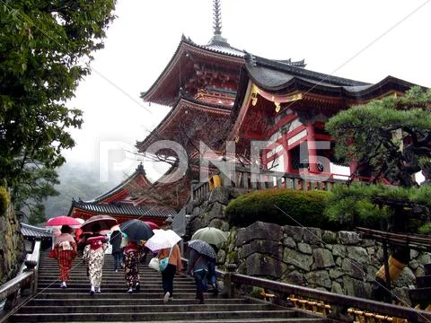 Tainy day at a japanese temple Stock Photos
