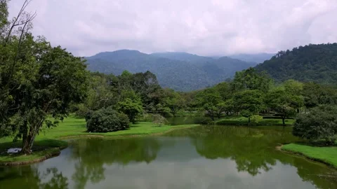 Taiping lake with a forest in the background Stock-Footage 325830977