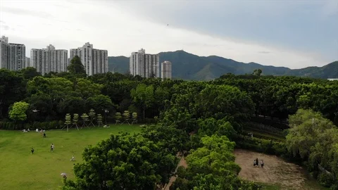 Taipo Stock Footage 91739044