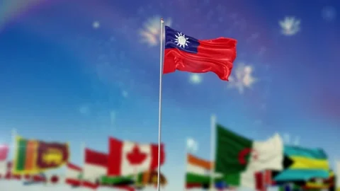Taiwan Flag With Flags Of The World And Fireworks Moring And Night 3D Rendering Stock-Footage 149959192