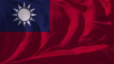 Taiwan Flag Loop Stock Footage 295741638