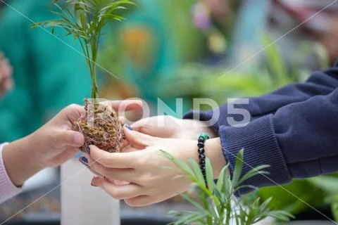 Taiwan, New Taipei City, Community Activity Center, Limin, leisure activities Stock Photos