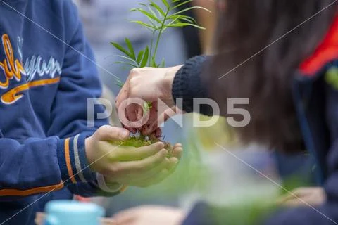 Taiwan, New Taipei City, Community Activity Center, Limin, leisure activities Stock Photos