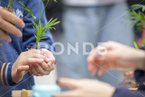 Taiwan, New Taipei City, Community Activity Center, Limin, leisure activities Stock Photos
