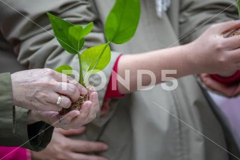 Taiwan, New Taipei City, Community Activity Center, Limin, leisure activities Stock Photos