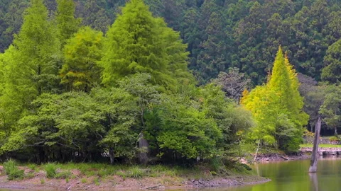 Taiwan, Yilan County, forest, mountain lake, Mingchi, famous, tourist attraction Stock Footage 164464832