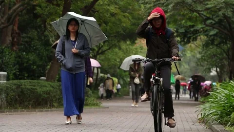 Taiwanese people walking with umbrellas in Taipei park Stock Footage