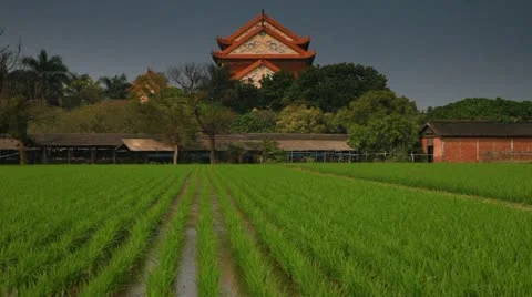 A Taiwanese temple. Stock Footage 10810301