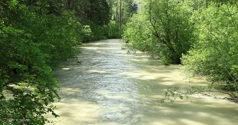 Taiya River by the Chilkoot Trail. Stock Footage 94051266