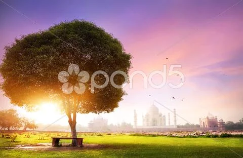 Taj Mahal at sunrise Stock Photos