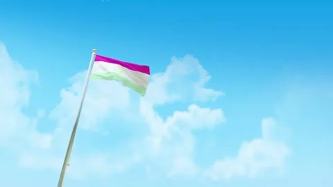 Tajikistan Flag 3D Render Animation with Fighter Jets Formation in Blue Sky Stock Footage 332312514