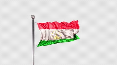 Tajikistan Flag  Animation Loop Include Alpha 3D Rendering Stock-Footage 312108526