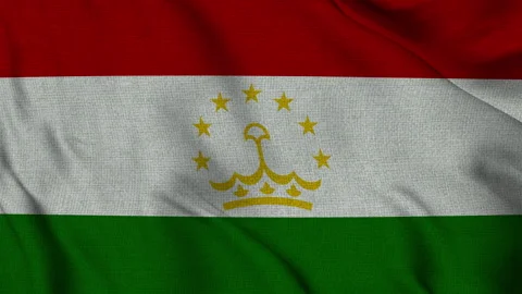Tajikistan Flag Animation Seamless Loop Waving in the Wind - 3D (4K UHD) 스톡 동영상 320596507