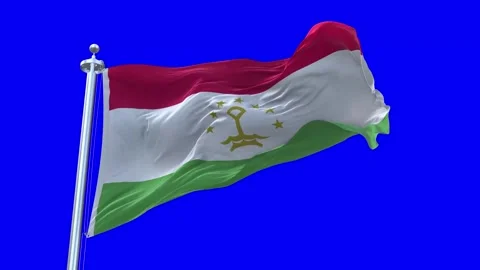 Tajikistan Flag Waving in Loopable and Textured green screen background Stock Footage 296875881