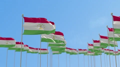 Tajikistan Row Of Flags Animation Видео 148797824