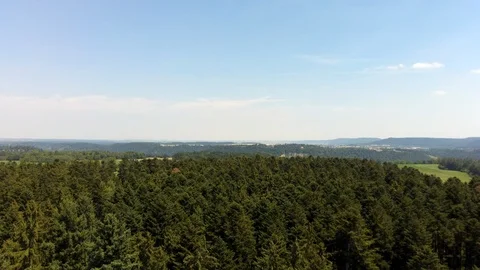 Take-off along coniferous forest on top of trees, top view Stock Footage 125511528
