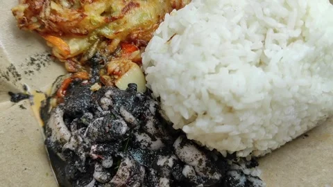 A take away package of rice dish Stock Footage 261154835