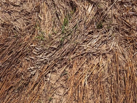 Take off from bevelled field Stock Footage 85247237