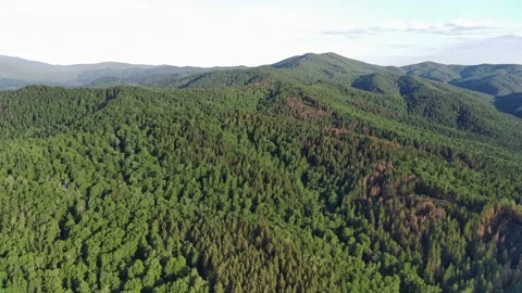 Take-off camera up near a mountain with dense green forest. Stock Footage 197374660