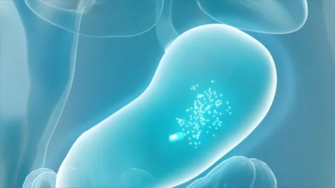 Take capsule and probiotics: particles diffuse in stomach Stockbeeldmateriaal 344952208