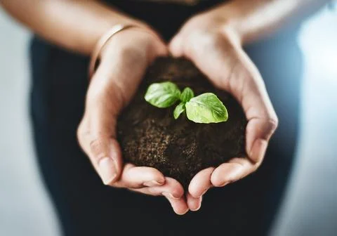 Take care to develop your dreams. Closeup shot of an unrecognizable Stock Photos