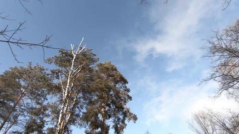 Take care of the purity of nature. Stock Footage 100902129