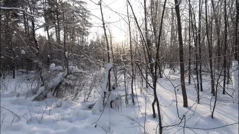Take care of the purity of nature. Stock Footage 100902156