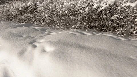  Take care of the purity of nature. Stock Footage 101650970