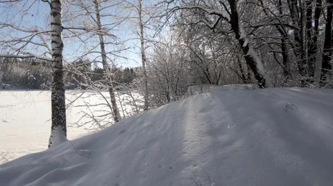  Take care of the purity of nature. Stock Footage 101650975