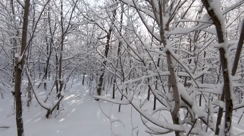  Take care of the purity of nature. Stock Footage 101651026
