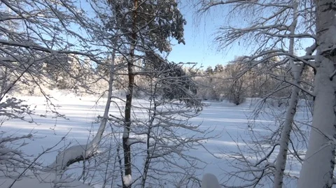  Take care of the purity of nature. Stock Footage 101651090