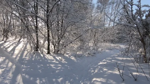  Take care of the purity of nature. Stock Footage 101651103