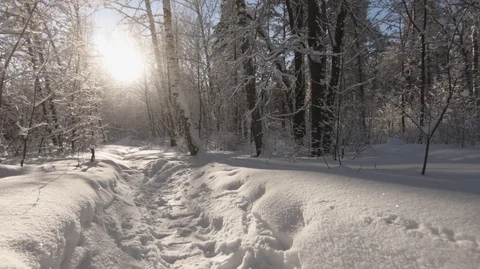 Take care of the purity of nature. Stock Footage 101651151