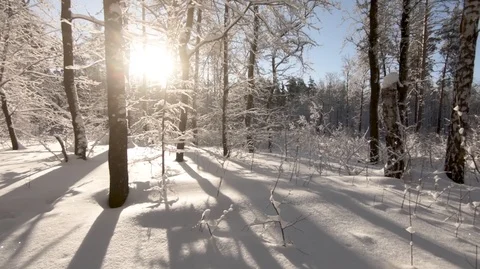  Take care of the purity of nature. Stock Footage 101651267