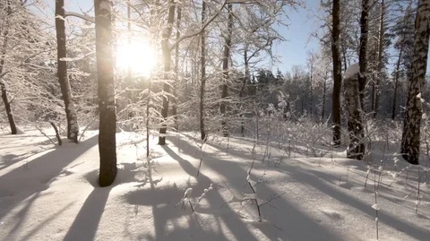  Take care of the purity of nature. Stock Footage 101651607