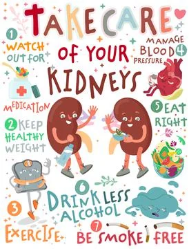Take care of your kidneys. Creative vertical poster in modern style. Stock Illustration