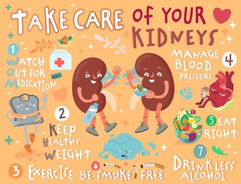 Take care of your kidneys. Creative landscape poster in modern style. Stock Illustration