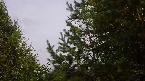 Take-off of cargo aircraft  Stock Footage 79534653