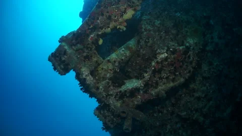 Take deep dive stunning marine life surrounding SS Thistlegorm in slow motion. Stock Footage 236392964