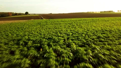 Take-Off Drone Flight Fall Over Beautiful Fields. Autumn in Vexin, France Video stock 294197809